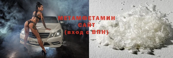 прущие грибы Беломорск