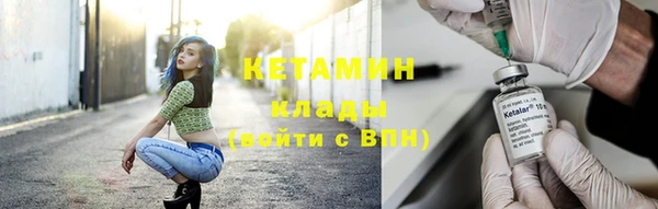 прущие грибы Беломорск
