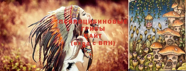 прущие грибы Беломорск