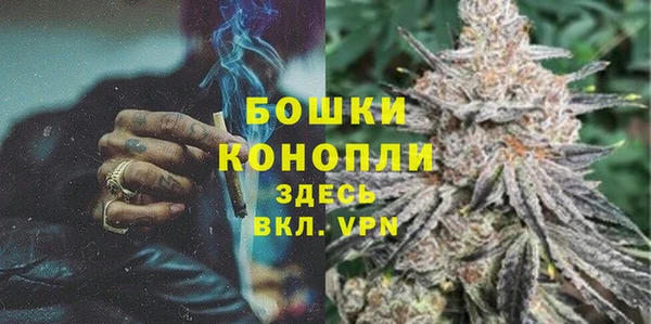 прущие грибы Беломорск