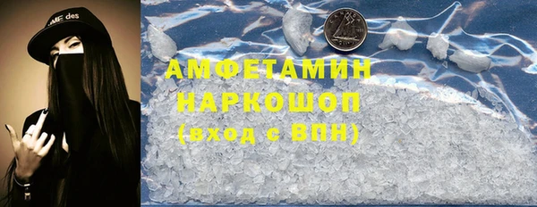 прущие грибы Беломорск